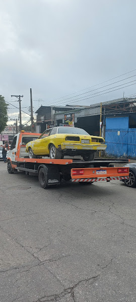 Foto 1 neguinho guinchos parelheiros grajau