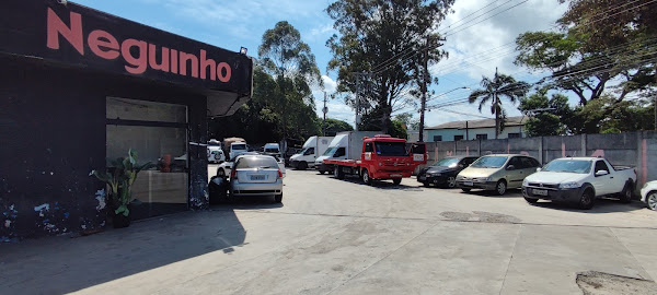 Foto 3 neguinho guinchos parelheiros grajau