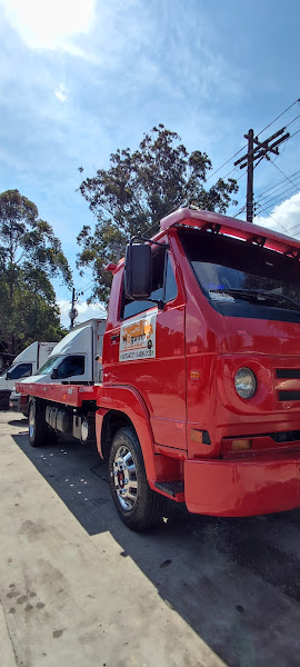 Foto 5 neguinho guinchos parelheiros grajau