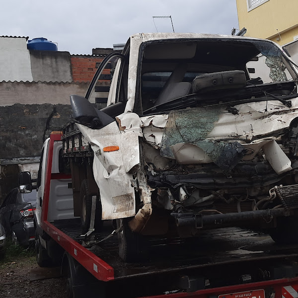 Foto 4 Avante Guinchos