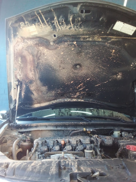 Foto 2 Acquazero Lapa SP