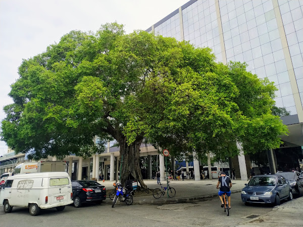 Foto 1 Bichara Advogados