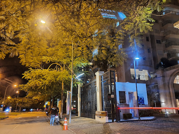 Foto 2 Flamboyants 100