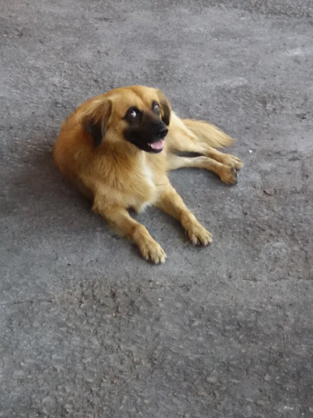 Foto 3 Lava Jato Hot Car