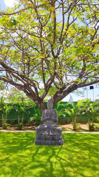 Foto 2 TODDE Advogados