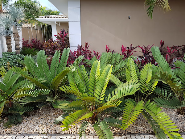 Foto 1 Willer Tomaz Advogados Associados