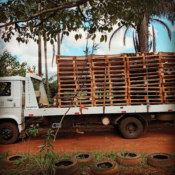 Foto 1 AIJ GUINCHO BRASÍLIA