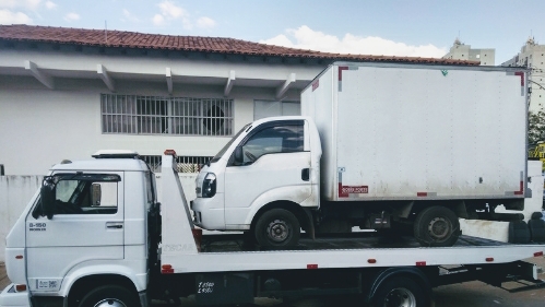 Guincho - Samambaia - Brasília - DF