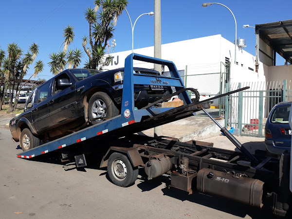 Foto 1 Abelhinha Guinchos 24 hs