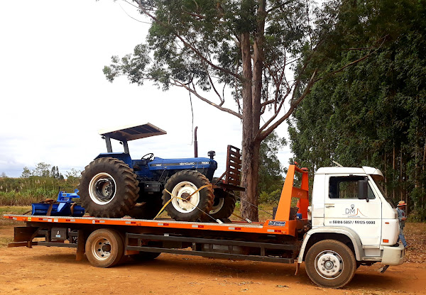 Foto 2 Dom Marconi Guincho