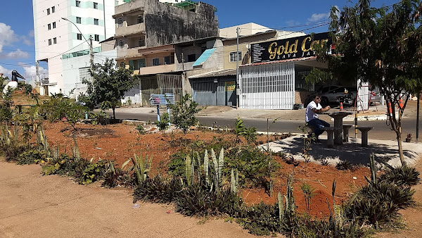 Foto 6 Lava Jato Gold Car