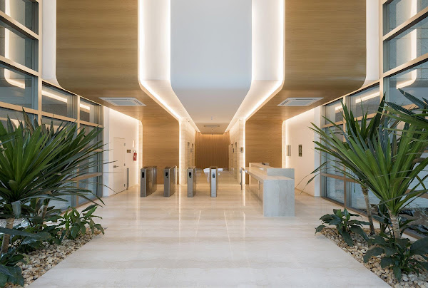 Túlio Vianna Advogados