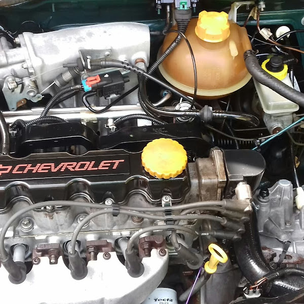 Estética e lava jato do brown