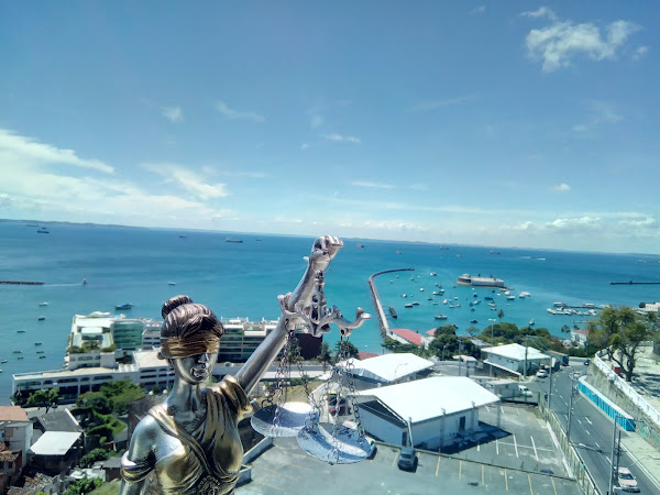 Michelle Ferreira Advocacia & Consultoria