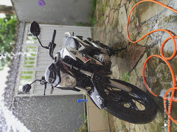 Lava Jato dos primos