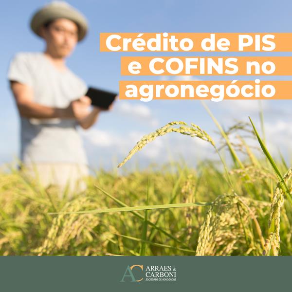 Foto 2 Arraes & Carboni Sociedade de Advogados Foto 2 Arraes & Carboni Sociedade de Advogados