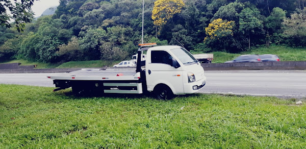 Guincho Curitiba F & L