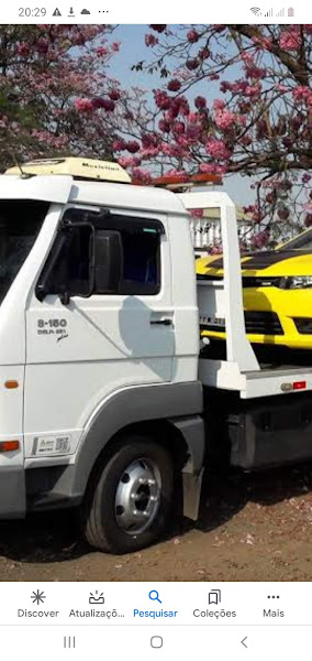 Foto 4 Guincho curitiba Bottollo