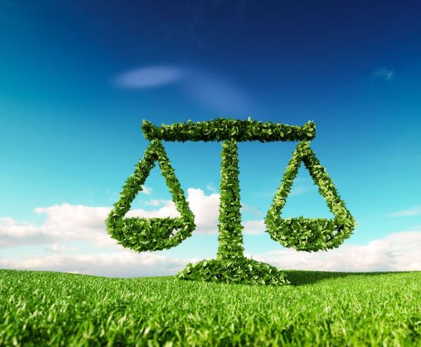 Foto 2 Advocacia Castanha & Martins - Advogados em Maringá - PR - Direito Imobiliário - Inventário