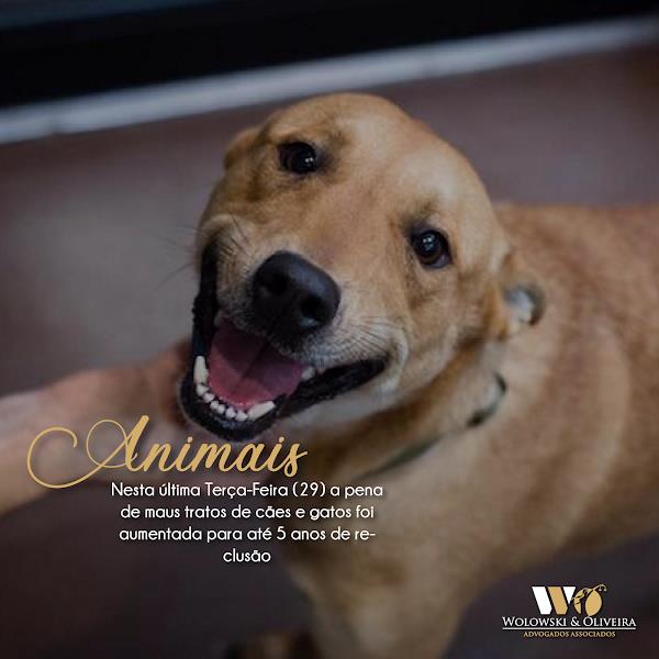 Wolowski & Oliveira Advogados Associados