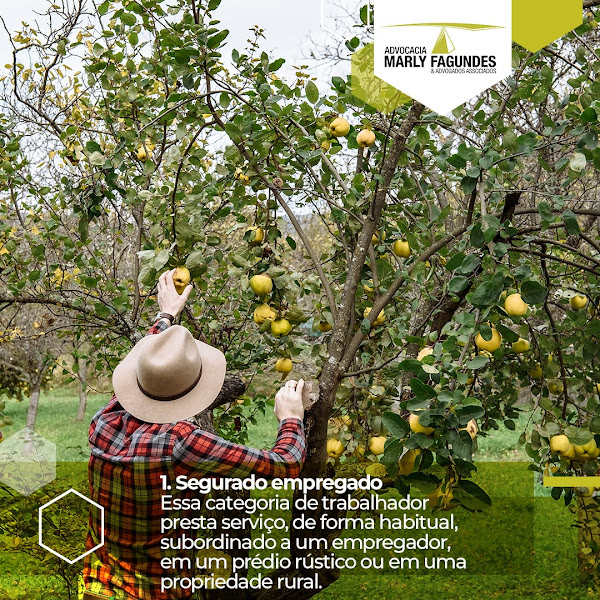 Advocacia Marly Fagundes & Advogados Associados - Maringá