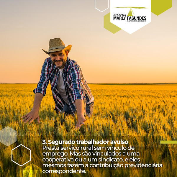 Foto 2 Advocacia Marly Fagundes & Advogados Associados - Maringá