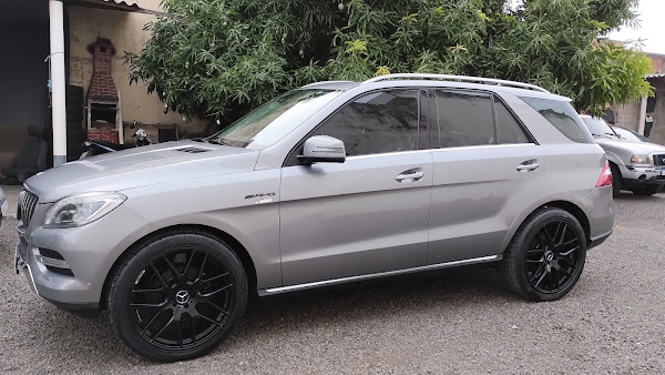 Foto 7 Bob Esponja Lava Car Foto 7 Bob Esponja Lava Car