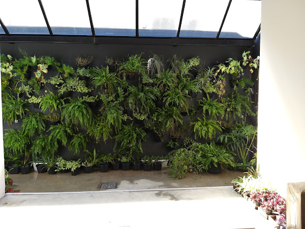 Foto 2 DHF Advogados Foto 2 DHF Advogados