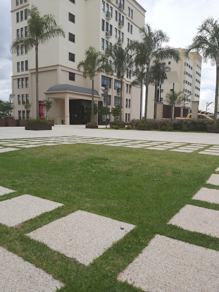 Carpes e Mathias - Sociedade de Advogados