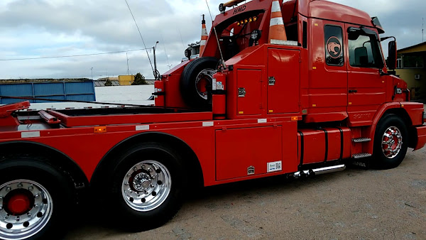 Perdigueiro Guincho Campinas Perdigueiro Guincho Campinas