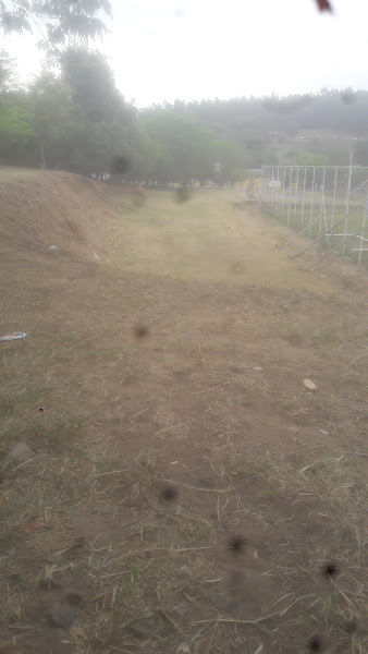 Foto 2 Transporte de Maquinas Campinas