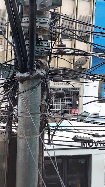 Foto 1 Casa do Advogado