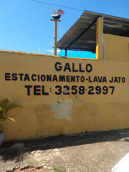 Lava Rápido Gallo