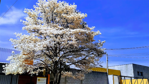 MP Retifica de Motores