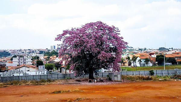 Foto 3 MP Retifica de Motores