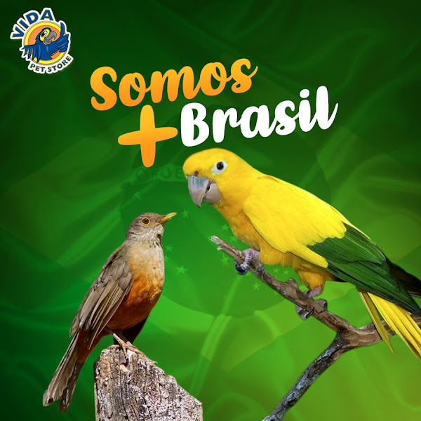 Distribuidora Nutricosméticos