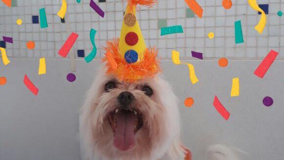 Foto 1 Distribuidora Nutricosméticos