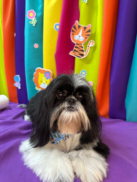 Foto 1 Life Pet Shop Sorocaba