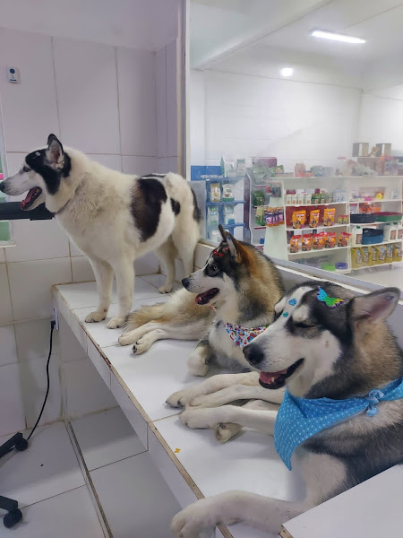 Foto 2 Life Pet Shop Sorocaba