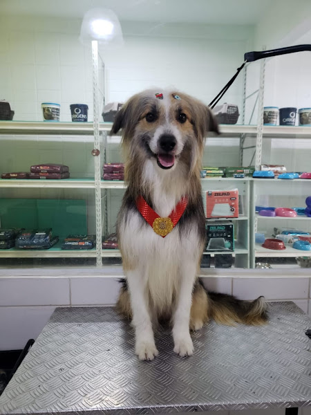 Foto 4 Life Pet Shop Sorocaba