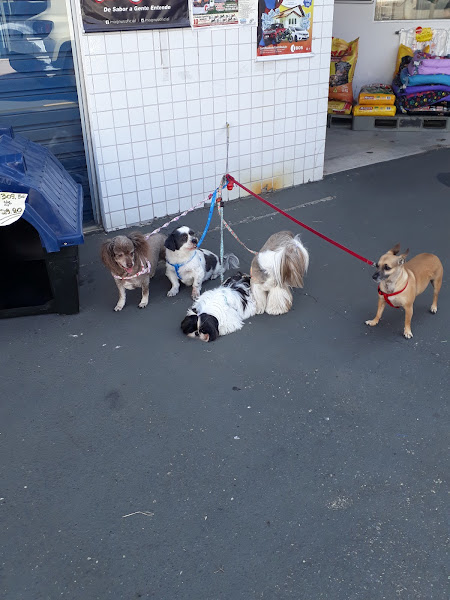 Foto 4 Bellas Pet Shop Sorocaba