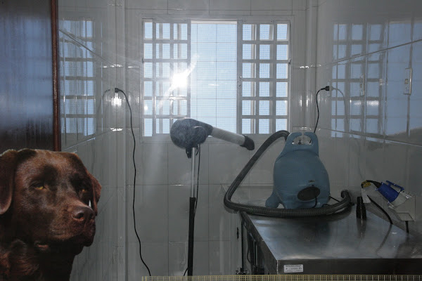 Foto 5 REX PET CENTER