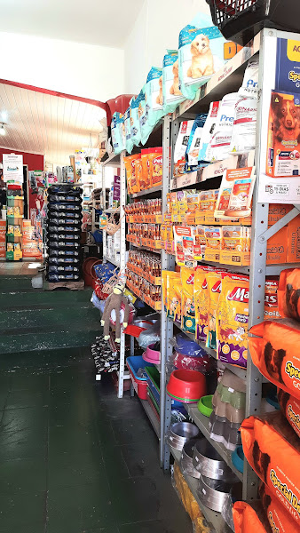 Foto 1 Pet Shop Stop Cão