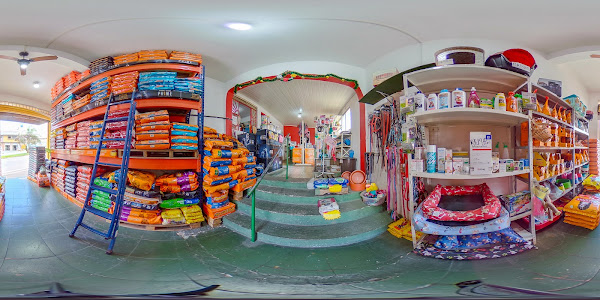 Foto 3 Pet Shop Stop Cão