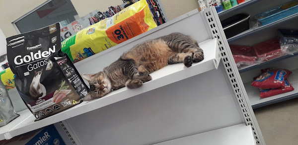 Foto 1 Pet Shop Ibiti