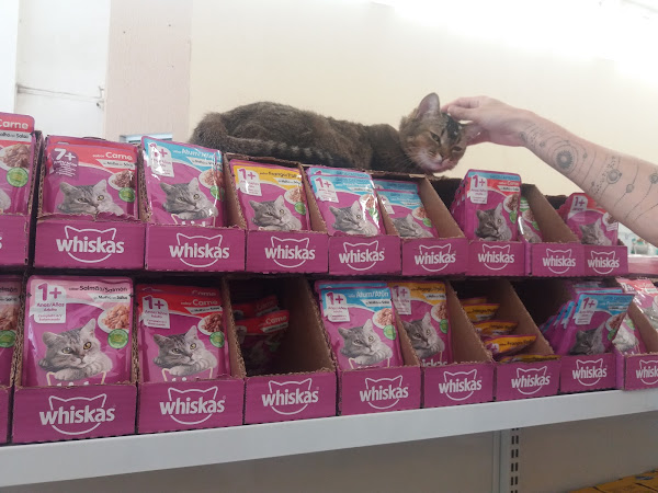 Foto 2 Pet Shop Ibiti