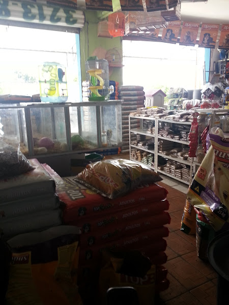 Foto 3 Star Dog Pet Shop