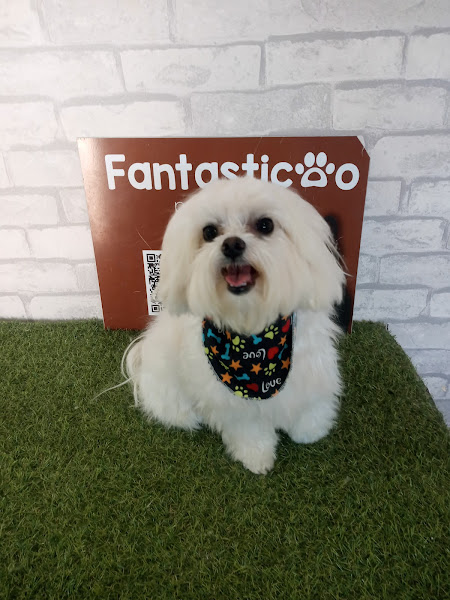 Foto 1 Fantasticão Pet Shop