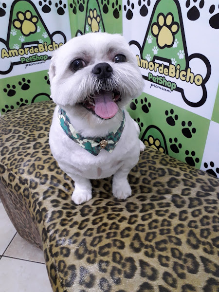 Foto 2 Pet Shop Amor de Bicho