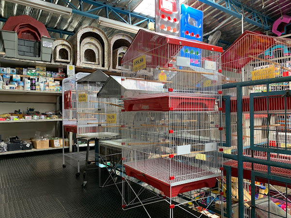 Foto 2 Águia de Ouro - Pet Shop e Aquarismo